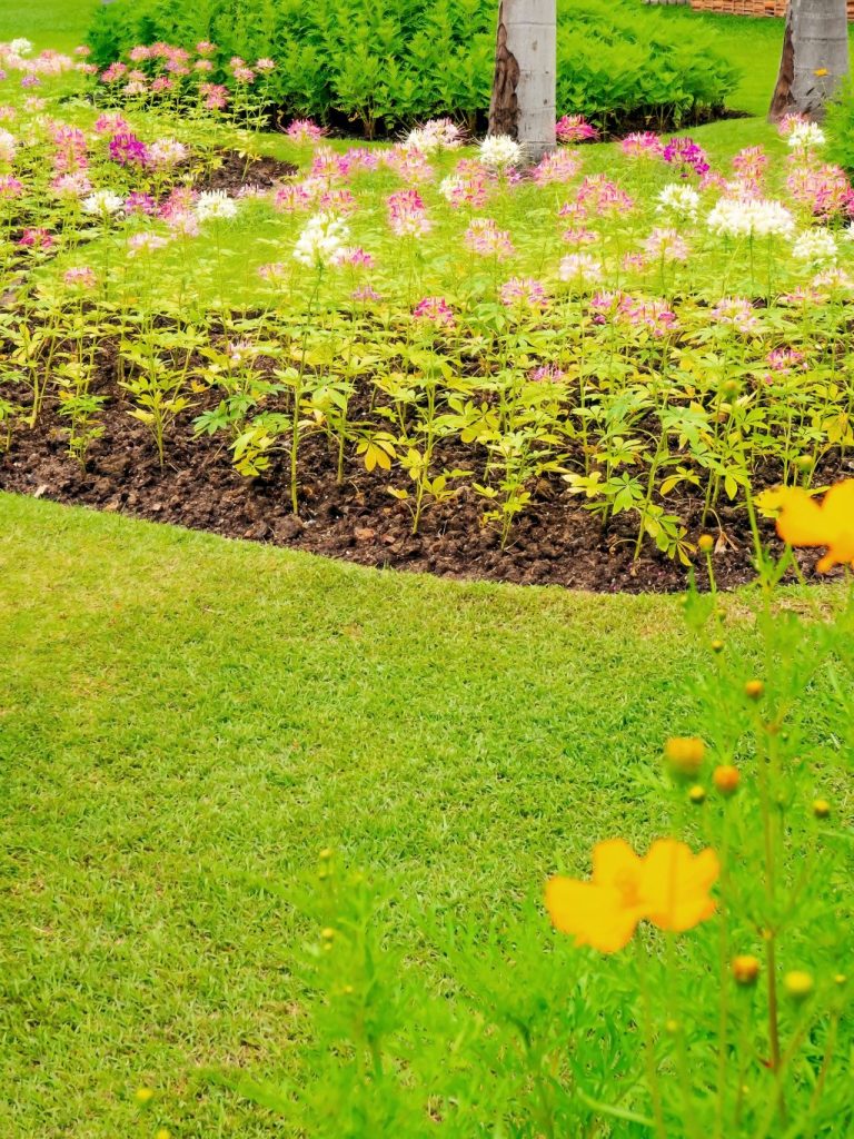 landscape care kenosha, grass cutting kenosha, planting company kenosha